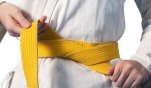 Six Sigma <br>Yellow Belt
