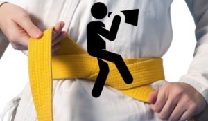 Six Sigma Yellow Belt <br> WOL